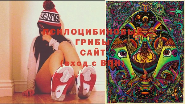 амф Ладушкин