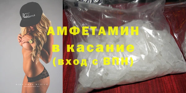 прущие грибы Козельск
