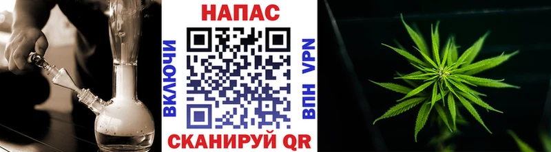 Каннабис MAZAR  Малгобек 
